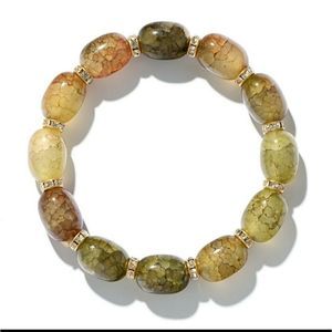 Warm Earthtones Stone Bracelet Gold Spacers NIP